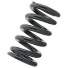 Coil Springs for Oldsmobile Custom Cruiser