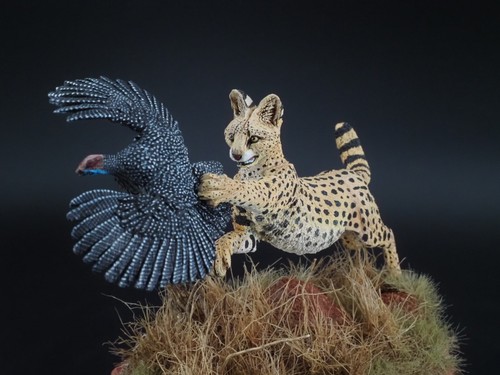 CIXMODELS 1:20/90mm CixM9009 ANIMAL SERVAL WITH PREY (no 75mm 54mm mantis tamiya - Foto 6 di 13