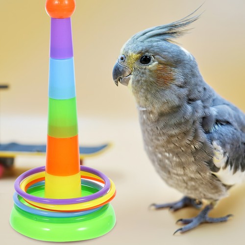 Papageienringe Wurfspielzeug Haustier Vogel Sport Spiel Ringe Spielzeug Smart Training Gym Toy - Bild 10 von 12