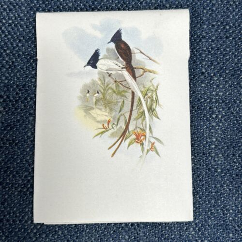 Vintage Eyeglass Tissues 20 In Packet John Gould Artwork Paradise Flycatcher - Picture 1 of 6