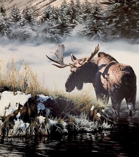 Rod Frederick NORTHERN LIGHT --(Moose) Edition 1500 NIF S/# Lithograph - Picture 4 of 6
