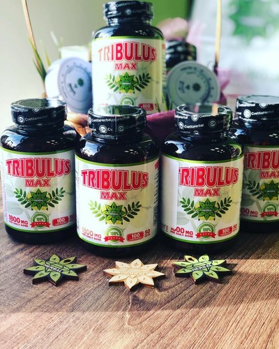 Tribulus terrestris Testosteron Booster Muskelaufbau Bulgarian Tribestan 900mg  - Bild 7 von 12