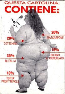 Cartolina Umoristica La Donna Cicciona Vgt Anni 90 24 Ebay