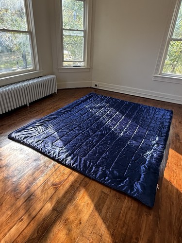 Victoria’s Secret King Sized Silk Comforter - Prince Purple Rare! Needs Wash - Afbeelding 4 van 8