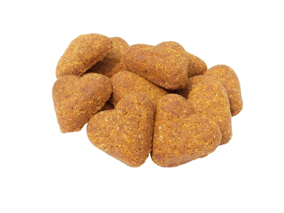 Lanches naturais sem grãos para cachorros 15 lb biscoitos de peixe cheddar para alergias - Imagem 3 de 3