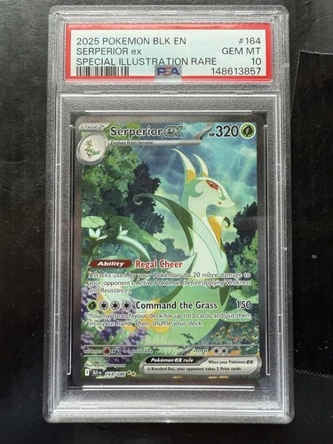 Pokemon Serperior EX 164/086 Black Bolt Special Illustration Rare SIR PSA 10