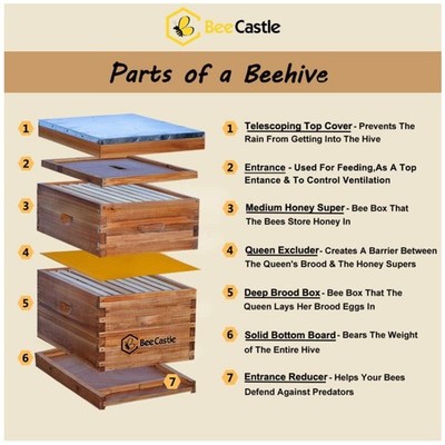 Easy Assembly Bee Hive Set - Top Quality Cedar Wood Material