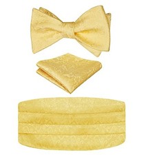 Men's Paisley Cummerbund and UNTIED Bow Tie Hanky One Size 133-golden untied 