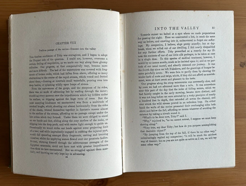 TYPEE BY HERMAN MELVILLE (HODDER & STOUGHTON 1924) - Picture 12 of 13