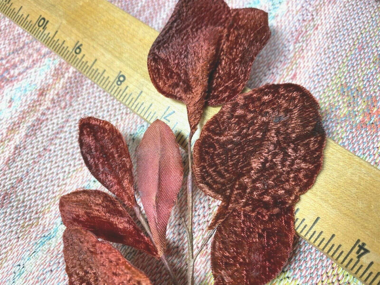 Picture 8 of 21