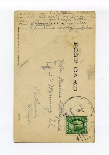 Cinco pájaros bebés sentados en una rama de roble, 1909 RPPC foto postal, rotógrafo - Imagen 4 de 4
