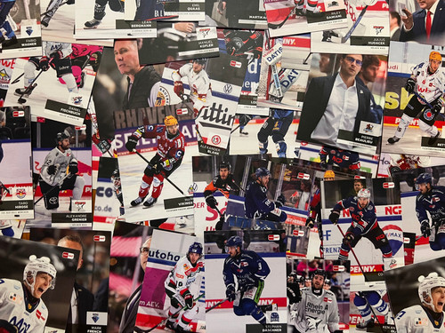DEL Playercards Saison 2024/25 Auswahl #001-#250 Eishockey 24/25