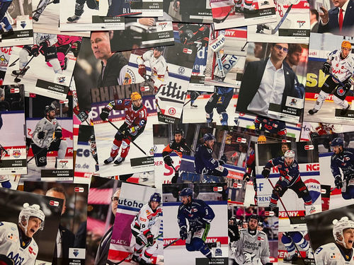 DEL Playercards Saison 2024/25 Auswahl #001-#250 Eishockey 24/25 - Bild 1 von 253