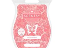 Scentsy 3 pack of wax bars