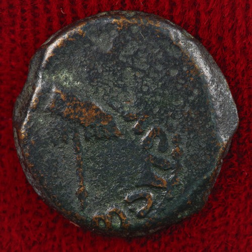 Moneda Antigua Judea Prutah HERODES AGRIPA I Jerusalén Casa de la Moneda Nombrada por Calígula - Imagen 3 de 4