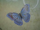Picture 7 of 8