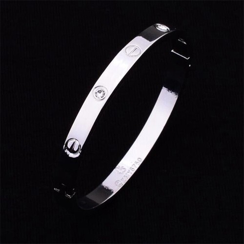 Steel Rose Gold New Hot Sale Bracelet with Diamond Titanium Bracelet Accessories - Picture 3 of 17