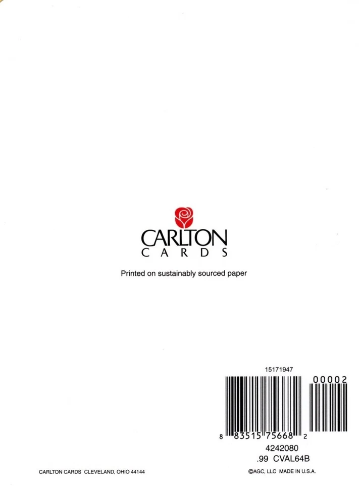 Поздравительная открытка с днем рождения мальчика пиратский красный попугай нашивка на глаз йо-хо - Изображение 3 из 3