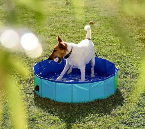 Faltbarer Hundepool Doggy Pool Kinder Swimmingpool Hundebad Ø60/80/120 cm - Bild 8 von 15