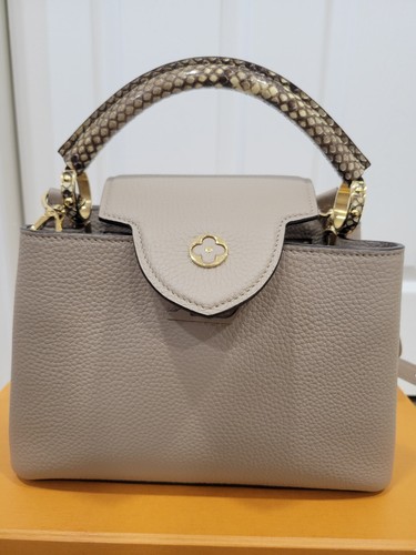 Louis Vuitton Taurillon Capucines BB pebble with PYTHON HANDLE HAND BAG - Picture 6 of 23