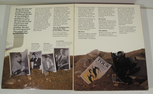 VTG Open Box Catch as Cat Can 1988 Jigsaw Puzzle Mystery Diana Dixon Healy~READ - Picture 10 of 14