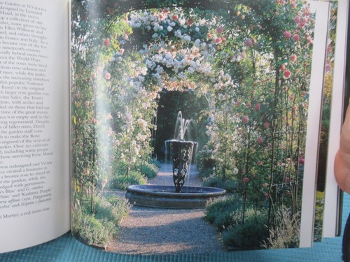 Year in the Garden : In England, Wales, and Northern Ireland, HC/DJ 2001 NEW - Bild 6 von 15