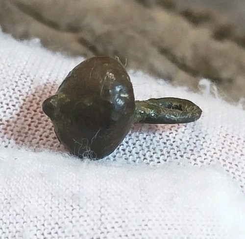 Ende 15. - 16. Jahrhundert Tudorknopf Metallfund (349) - Bild 2 von 8