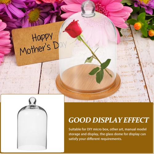 3 Pack Preserved Flower in Dome Display Cloche Clear Glass Cover - Picture 7 of 12