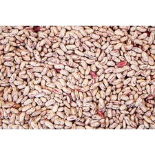 COMMODITY BEANS 2703 Commodity Triple Clean Pinto Bean 50lbs