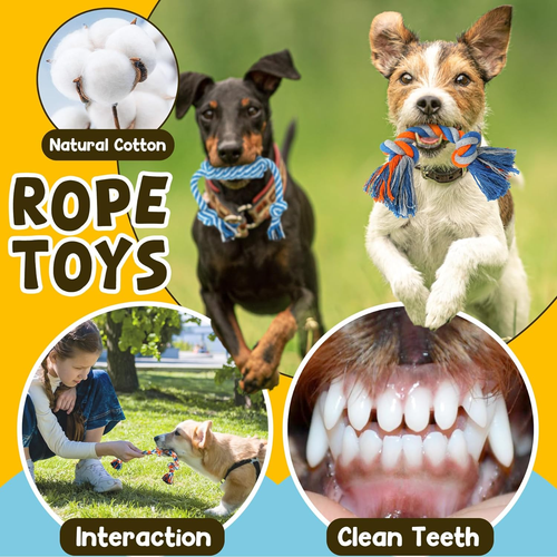 9 Pack Luxury Puppy Toys for Teething Small Dogs, Puppy Chew Toys with Cute Sque - Picture 5 of 12