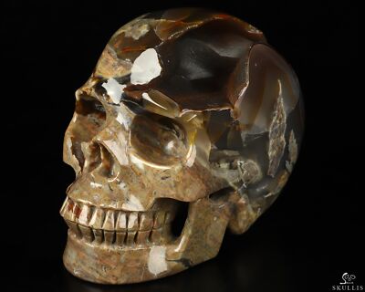 5.1'' Dinosaur Egg Agate Hand Carved Crystal Skull, Realistic, Crystal Healing