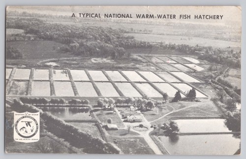 1970 National Fish Hatchery order ticket postcard from Hebron, OH  - Picture 1 of 2