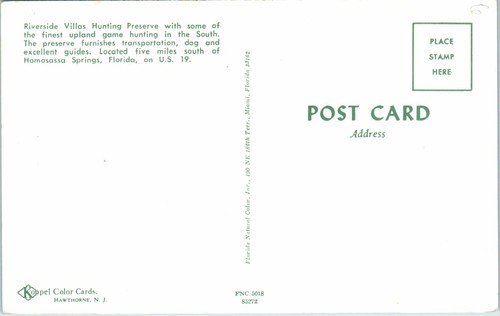 Postal de colección FL Riverside Villas Caza Reserva Homosassa Springs 3 hombres y perros - Imagen 2 de 2