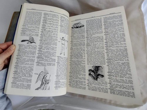 The Little & Ives Webster Dictionary Complete & Unabridged 1963 - Picture 6 of 11