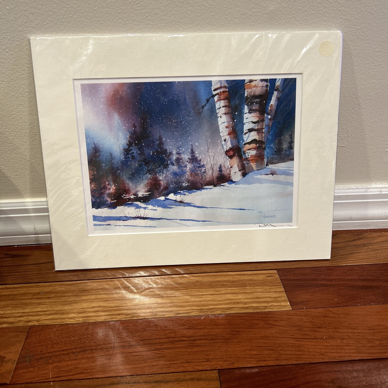 Picture 2 of 12