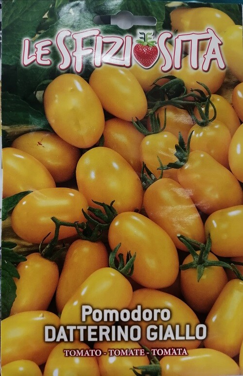 Foto 80 di 90