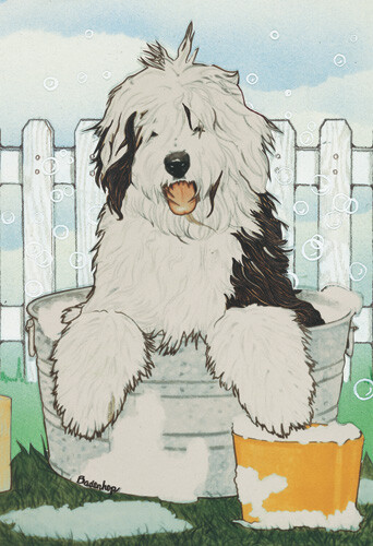 Old English Sheepdog Birthday Card 5 x 7 with Envelope - Picture 1 of 1