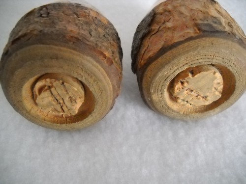 Wood Tree Branch with Bark Salt & Peppers Shakers Souvenir Grand Lake Colo #2 - Picture 6 of 6