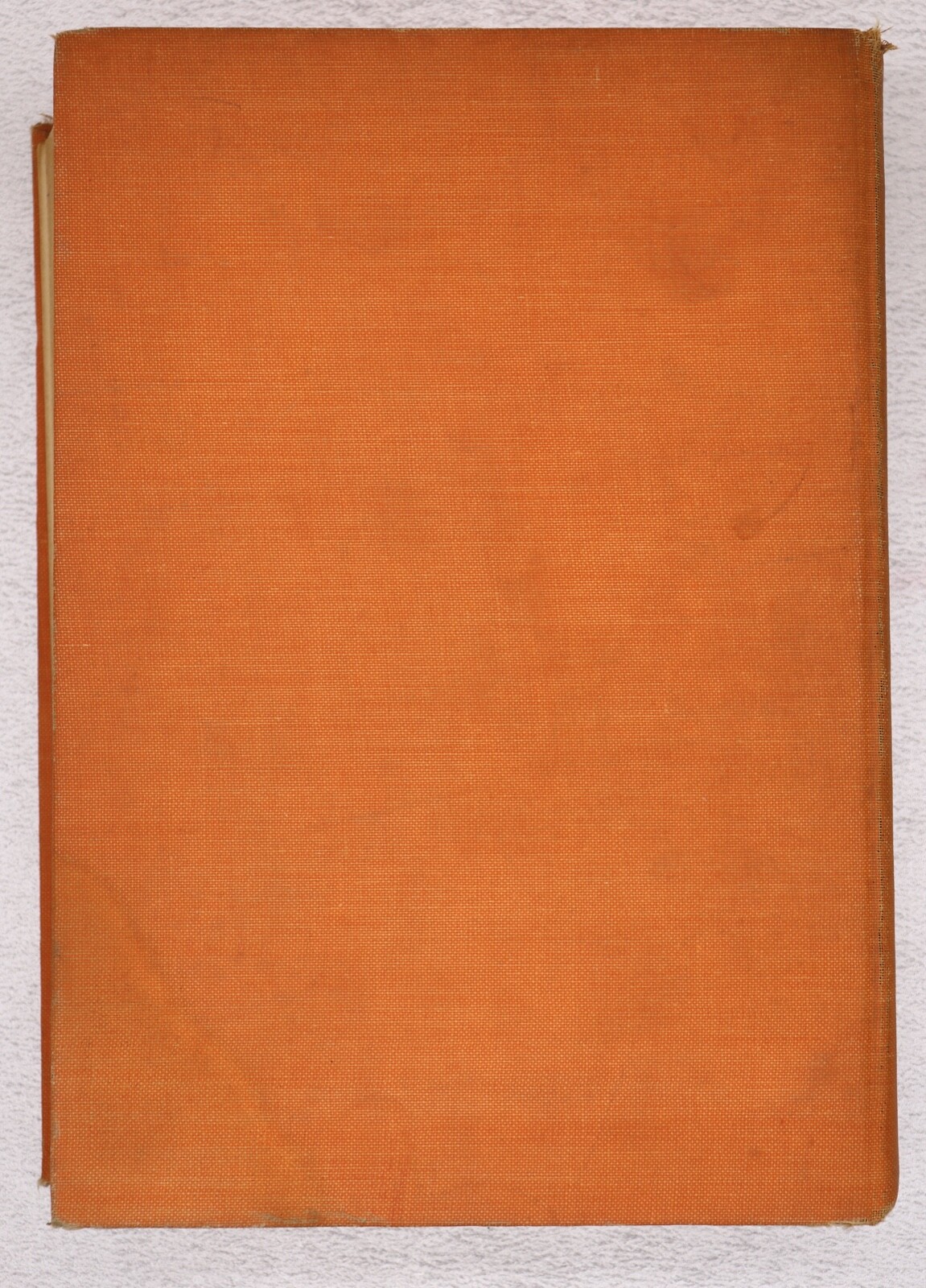Foto 11 di 14