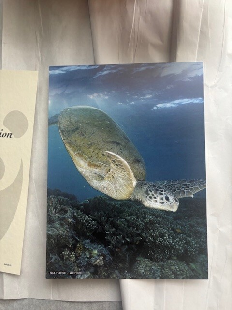 Picture 5 of 12