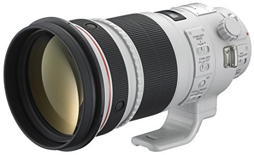 7月17日限定価格♪Canon EF 100-300mm USM 7月17日限定価格♪Canon EF 100-300mm USM Canon - 7月17