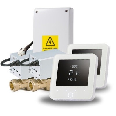 Esi Control CPC2zP6C Control Pack 2 Zonen