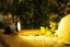 Bild 3 von 4