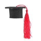 Funny Hats for Women Cute Mini Wine Bottles Cover Graduation Cap