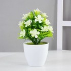 Foto 16 di 22