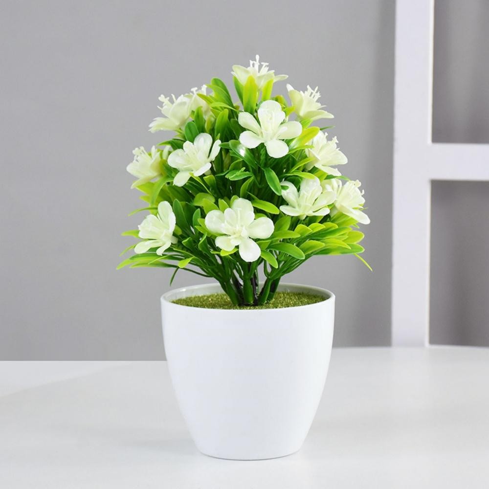 Foto 16 di 22