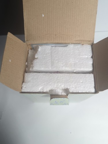 Cherished Teddies PATRICIA & IZABELA Rare Roller Skating Bears Collectable - Bild 21 von 24