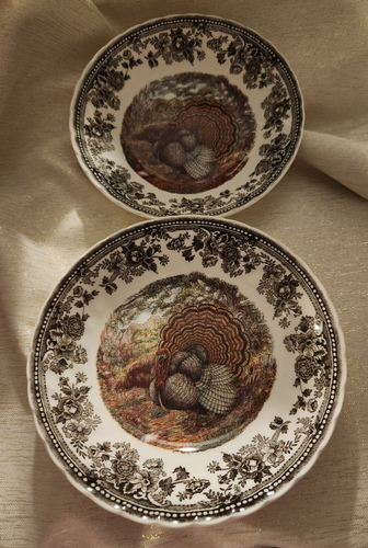2 x bols à soupe Queen’s Majestic Beauty England jeu de dinde Thanksgiving 8"