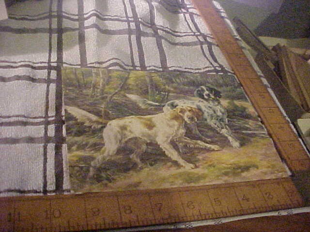 Bild 3 von 4