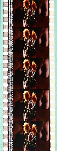 E.T. The Extra-Terrestrial 1982 Very Rare Genuine Unmounted 35mm Film Cells - Picture 87 of 111
